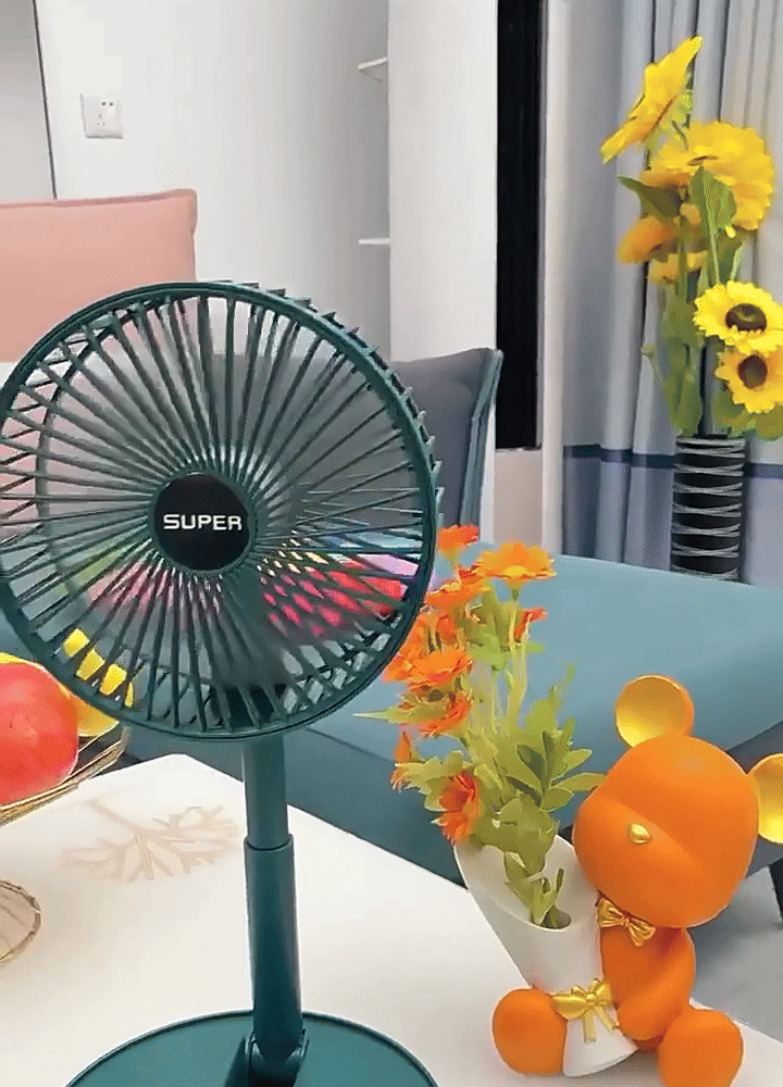Folding Storage Net Red Fan